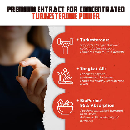 Old School Labs Suplemento de testosterona para hombres – Turkesterona 1500 mg de potencia máxima + Tongkat Ali y BioPerine® – Crecimiento muscular, recuperación, impulso y resistencia – 120 cápsulas