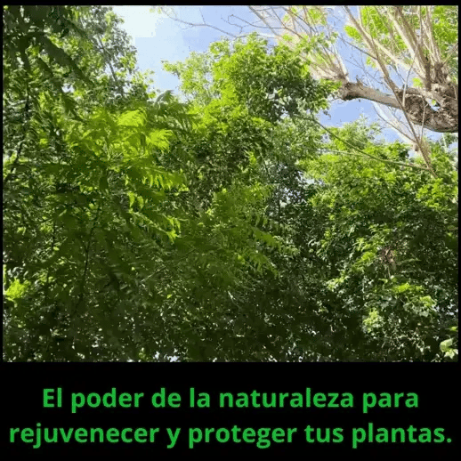 PlantGuard Pro™ – Protección total y desarrollo óptimo para todo tipo de jardines. 🌳💪