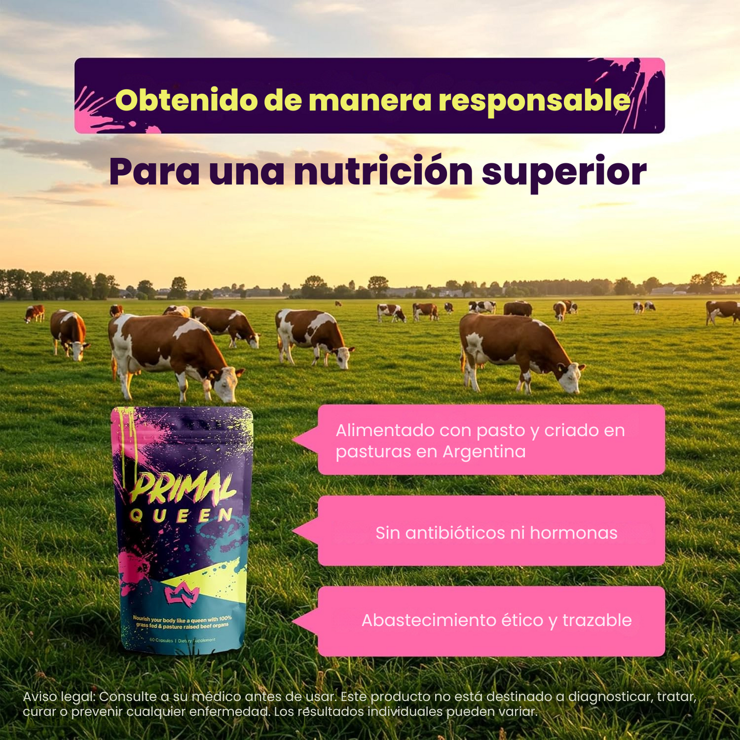 PRIMAL QUEEN: Alimentos superconcentrados en cápsulas para el equilibrio de tu salud 💗👑
